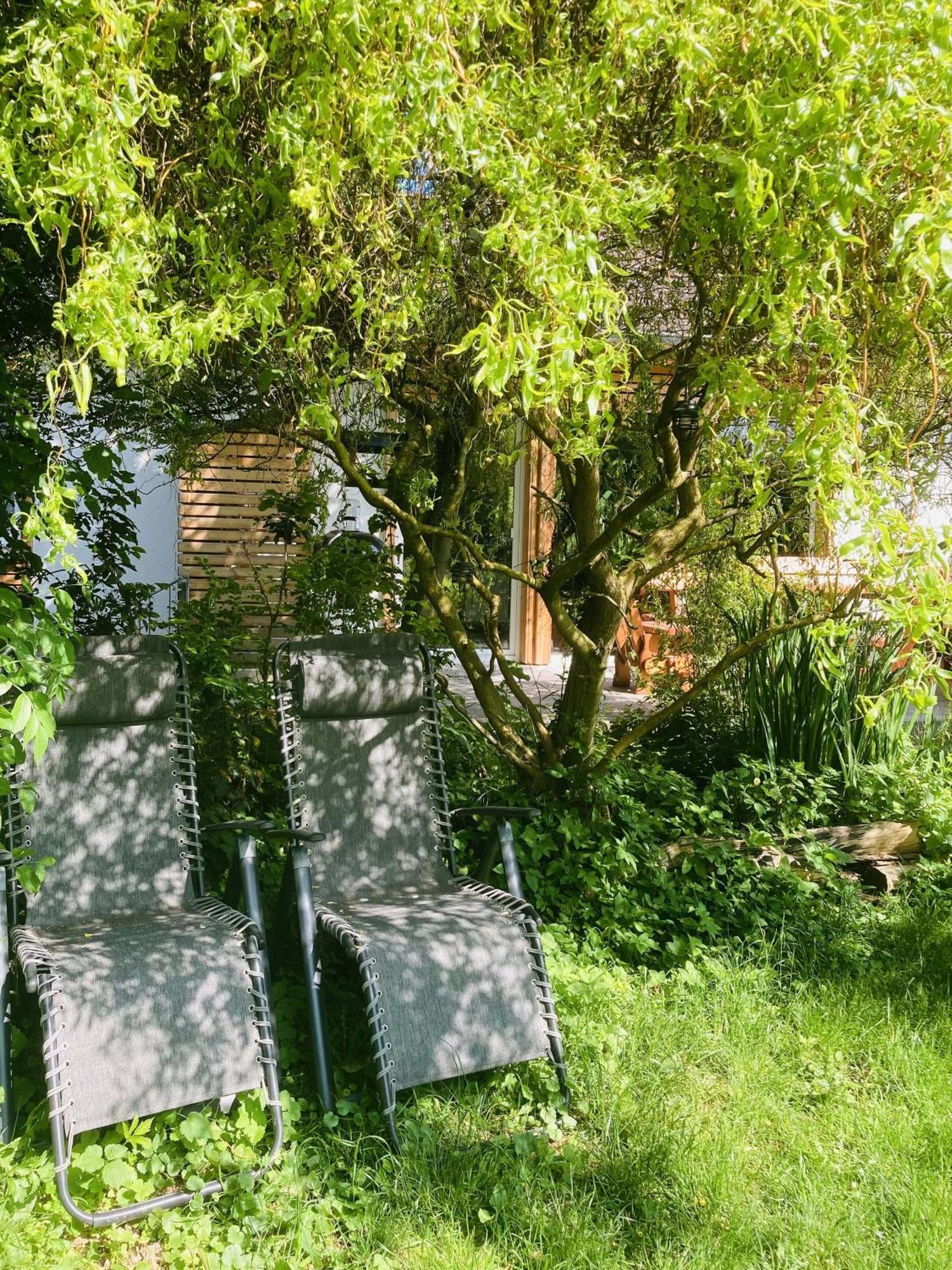 Ferienhaus Urwald Hofgeismar Exterior photo