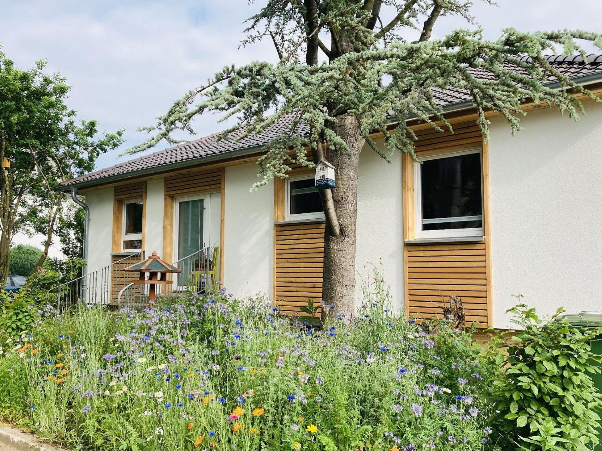 Ferienhaus Urwald Hofgeismar Exterior photo